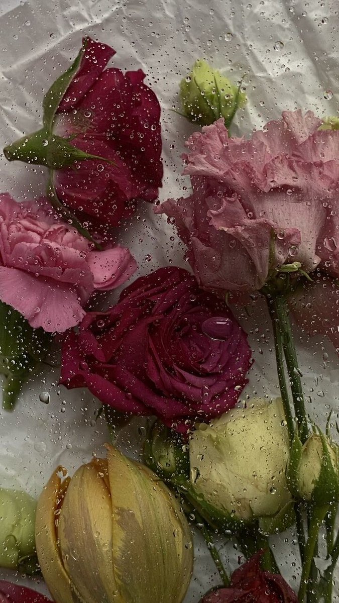 prettiestavenue's tweet photo. fresh flowers https://t.co/xrAGPWEzLE