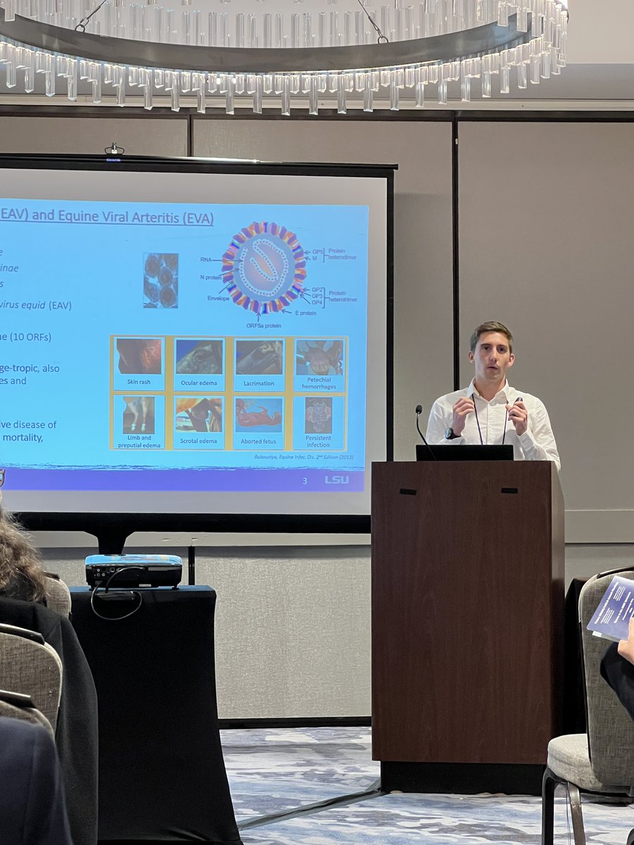 lsuvetmeddean's tweet photo. Congratulations to Dr. Come Thieulent, one of our AMAZING postdocs @LSUVetMed, for presenting on equine arteritis virus at the #AAVLD Annual meeting in Minneapolis! Come exemplifies our translational research for #OneHealth. #LADDL #WeProtect #WeDiscover #LSU #ScholarshipFirst https://t.co/9j3d0sn3SJ