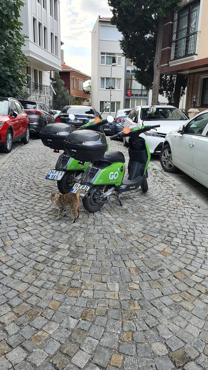 Bu cihazlar artık bir güvenlik sorunu haline geldi.Yolun ortasına bırakıp gitmişler.
Park yerleri olmalı. Oradan alınıp bırakılmamalı. 
Sokaklar motor çöplüğü oldu. <a href="/TC_icisleri/">T.C. İçişleri Bakanlığı</a> <a href="/istanbulbld/">İstanbul Büyükşehir Belediyesi</a> <a href="/csbgovtr/">T.C. Çevre, Şehircilik ve İklim Dğş. Bakanlığı</a> 0