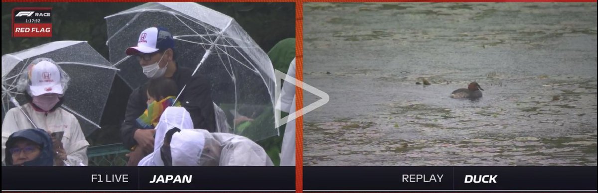 Thrilling live content from the #JapaneseGP today thank you F1 live