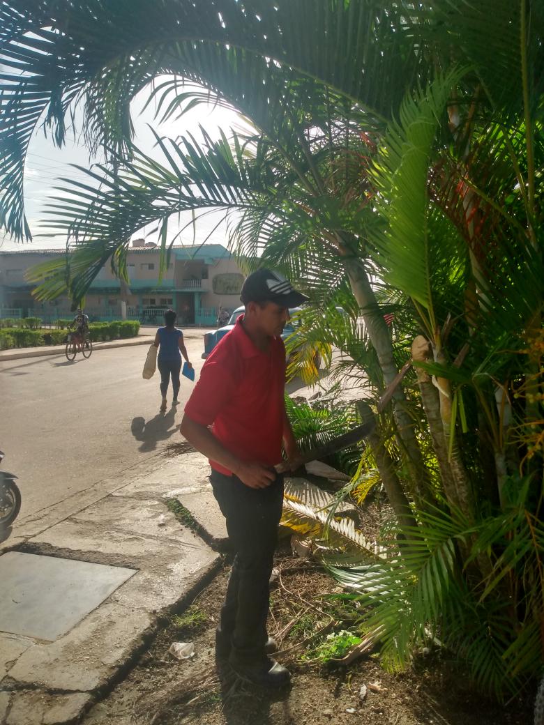 LimonteLisandra's tweet photo. Merecido reconocimiento a los trabajadores del policlínico docente Raúl Ortiz Ávila por su participación en esta jornada de trabajo voluntario. Quienes #SinPerderUnDia  con #LatirAvileño dicen presente!!! @lazaroz1981 @Avilena2014 @PitaDra @MirandaBorroto @edismelmontesi1 https://t.co/OTF8WmbEoC