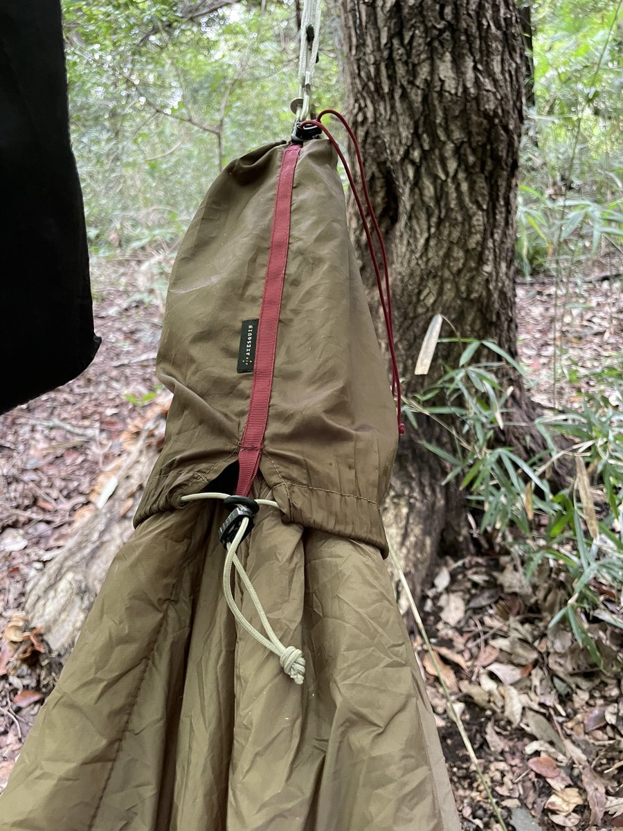 激レア】アクシーズクイン AXESQUIN ウキグモLight グリップス GRiPS