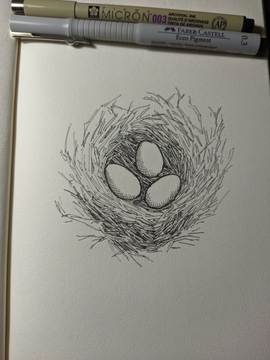 Inktober day 9 - nest
#inktober #inktober2022 #inktoberday9