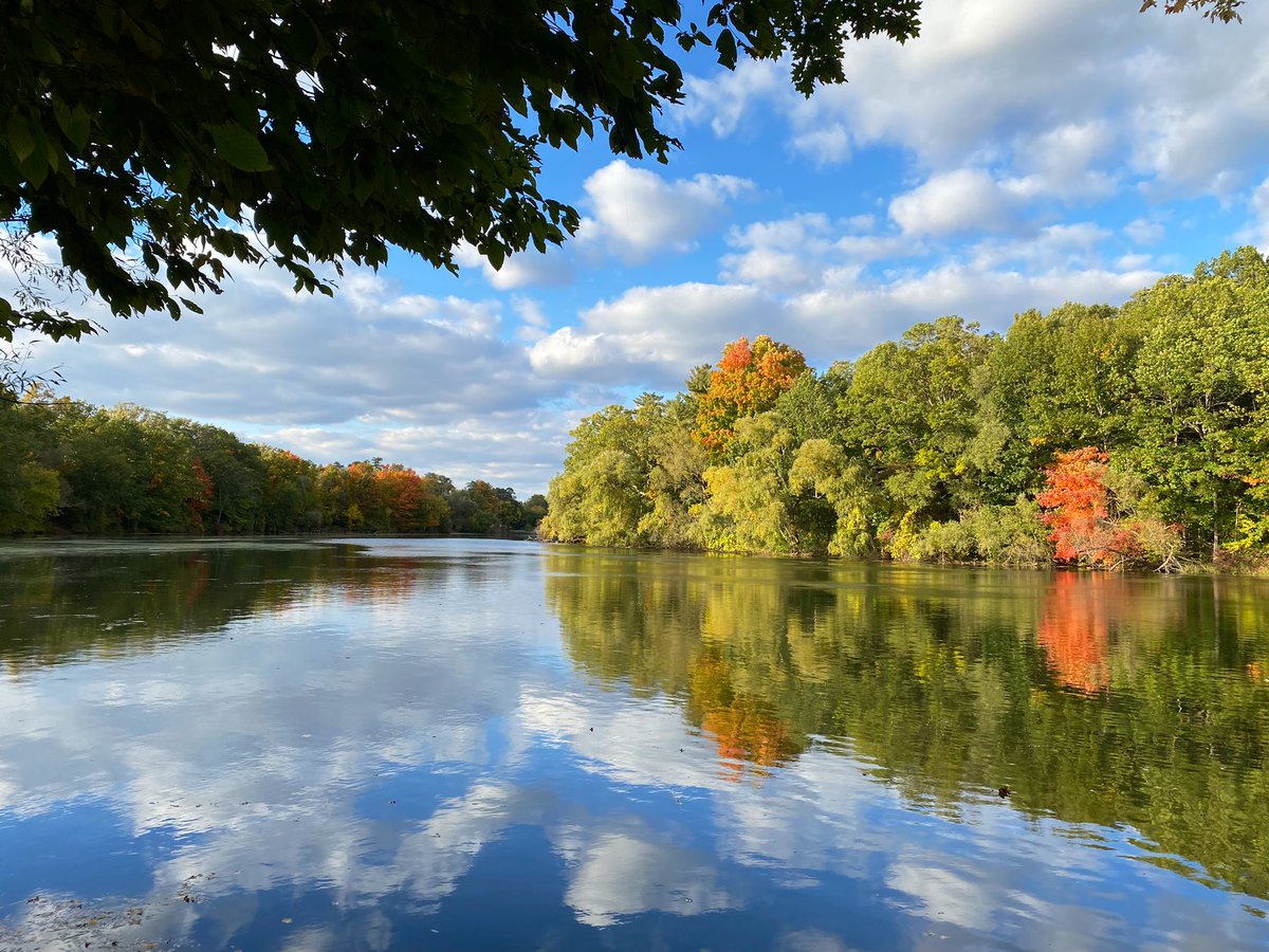cmackTO's tweet photo. From the Mill Pond trail in Dorchester. #thamescentre #utrca https://t.co/JWg1YcFzyM