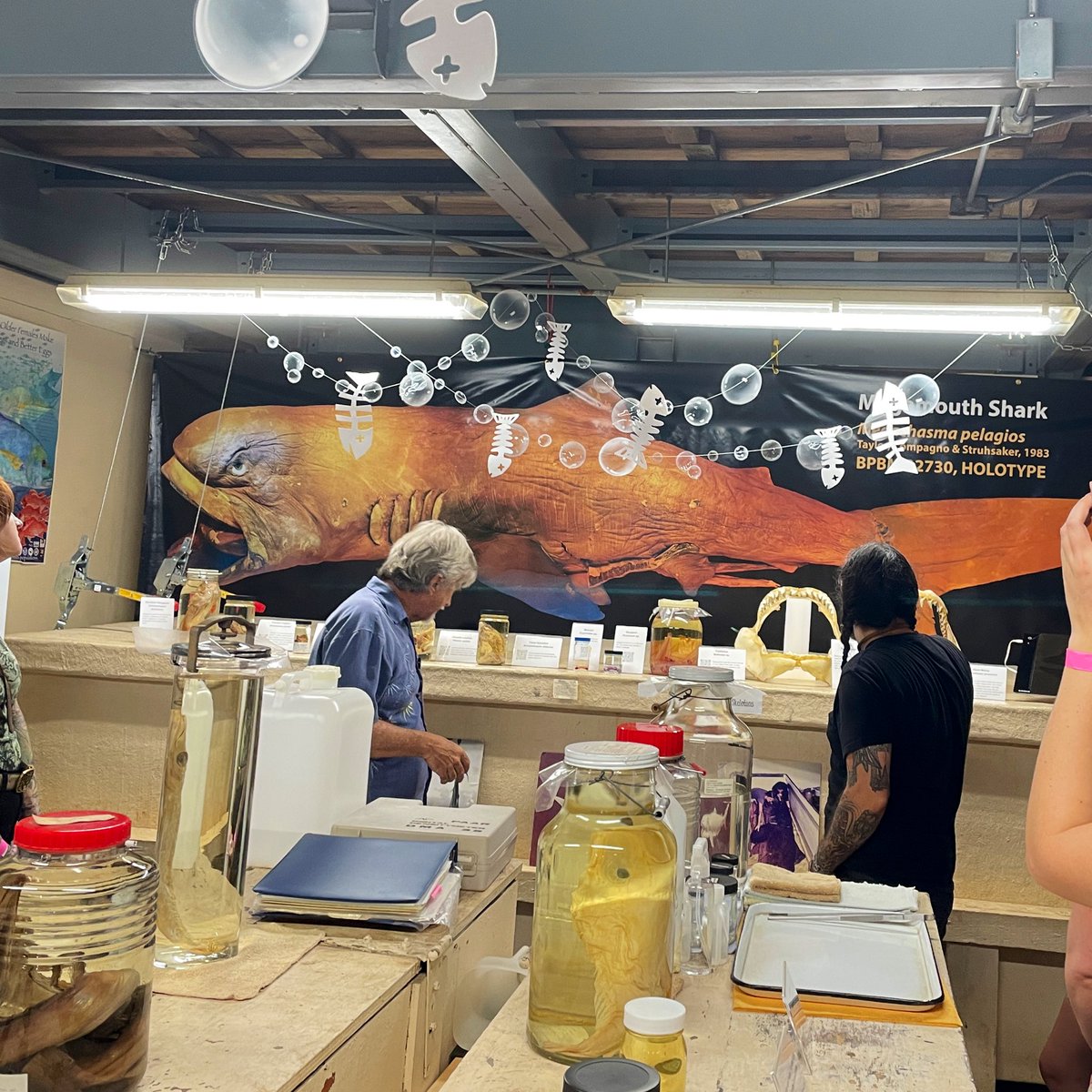 uhm_eecb's tweet photo. Finally, the fish! The #ichthyology collection at Bishop is recognized as the biggest contribution of specimens by famed ichthyologist John Randall. #DayAtTheMuseum #ThanksForAllTheFish https://t.co/ScxTUfiIwu