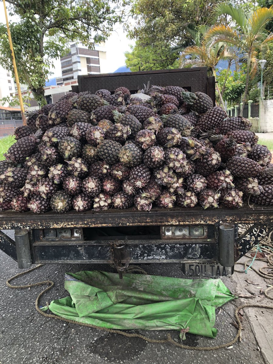 Dr Gracian Rondón tweet media