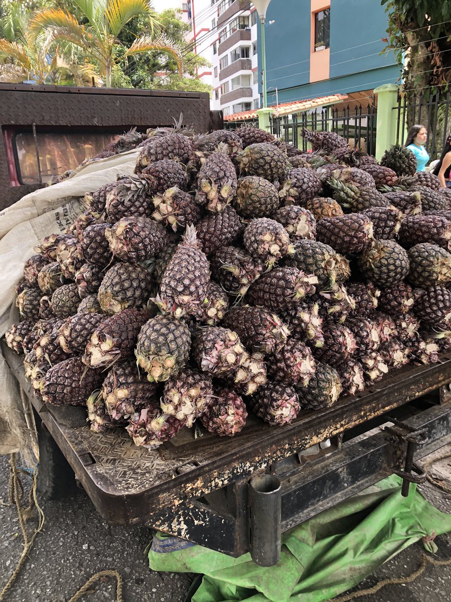 Dr Gracian Rondón tweet media