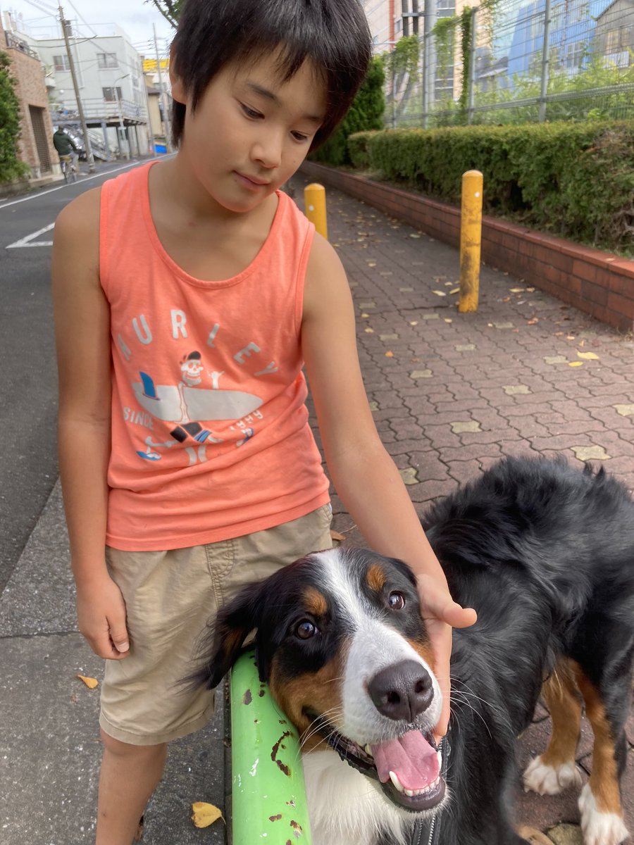 fran_to_cisco's tweet image. いい子ちゃん👦🏻といい子ちゃん🐶