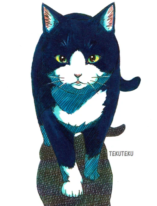 #このタグをみた人はド正面イラストを貼る  #猫好き #オリジナルイラスト 