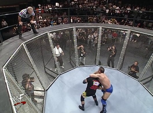 Should've brought back the Lion's Den match.

#FightPit #KenShamrock #SethRollins #ExtremeRules #WWE