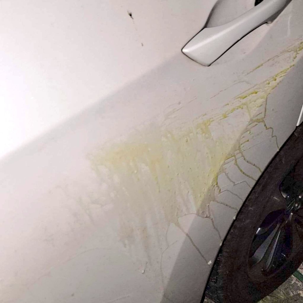 アメリカで夜道を走行してたら生卵を投げつけられた どうやらかなり危険な状況らしい 停車せずそのまま逃げて Togetter