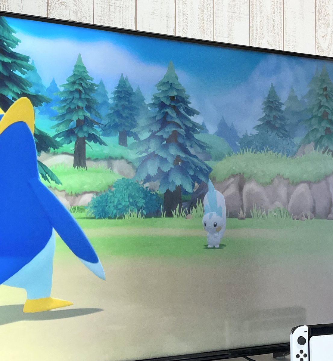 razucha_'s tweet photo. かあいいって言いながらするポケモンって癒されだよね(*ˊ˘ˋ*)♡ https://t.co/YCnNRIh3TG