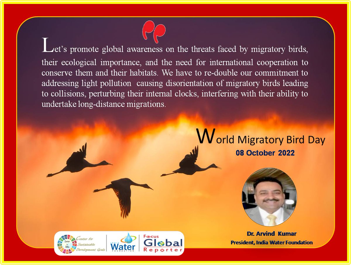 IndiaWaterFoun1's tweet photo. #WMBD2022 #WorldMigratoryBirdDay #GlobalBirdWeekend #UnitedforBiodiversity #SingFlySoar #LikeABird #Environment #Forest #OctoberBigDay #ForNature #CounterMEASURE #CoP27 #Ecosystem #ActNow #SDGs #NatureProtection @indiawaterweek #drarvindkumarpresidentindiawaterfoundation https://t.co/OJ5a69kFkq
