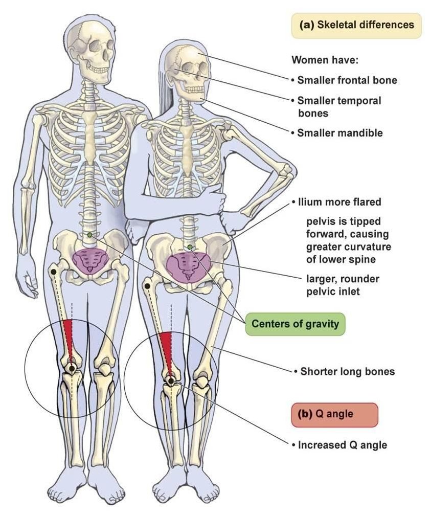 browncoat5757's tweet photo. @gayandtiredasf @Siennasaurus1 @JocastaMoney @PinkNews Just a few facts to prove
#MenAreNotWomen
#MenCanNeverBeWomen
#ItsTheScience π https://t.co/kn3BGpHfwO