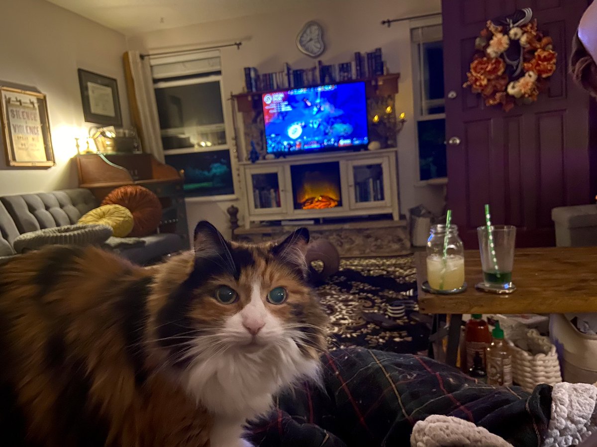 _fox_veritas_'s tweet photo. Cats, candles, and qualifiers…

“They’re on break, Mom. The time for pets is now.” 

#dota2 #lastchancequalifiers #Hygge https://t.co/c9wCbMMd4B
