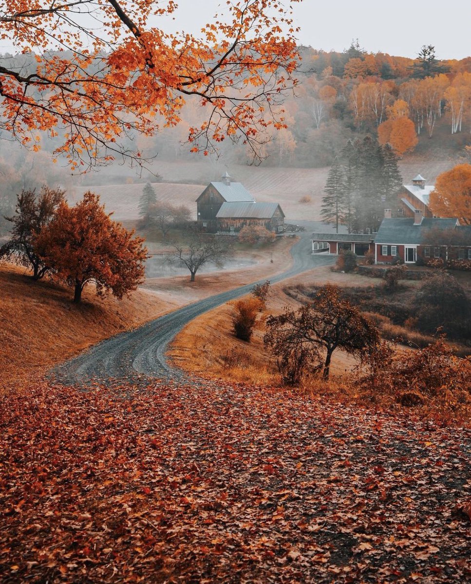 OctobersLeavess's tweet photo. I’m so glad I live in a world where there are Octobers 😍🎃👻🖤 https://t.co/ZlnghGBmKZ