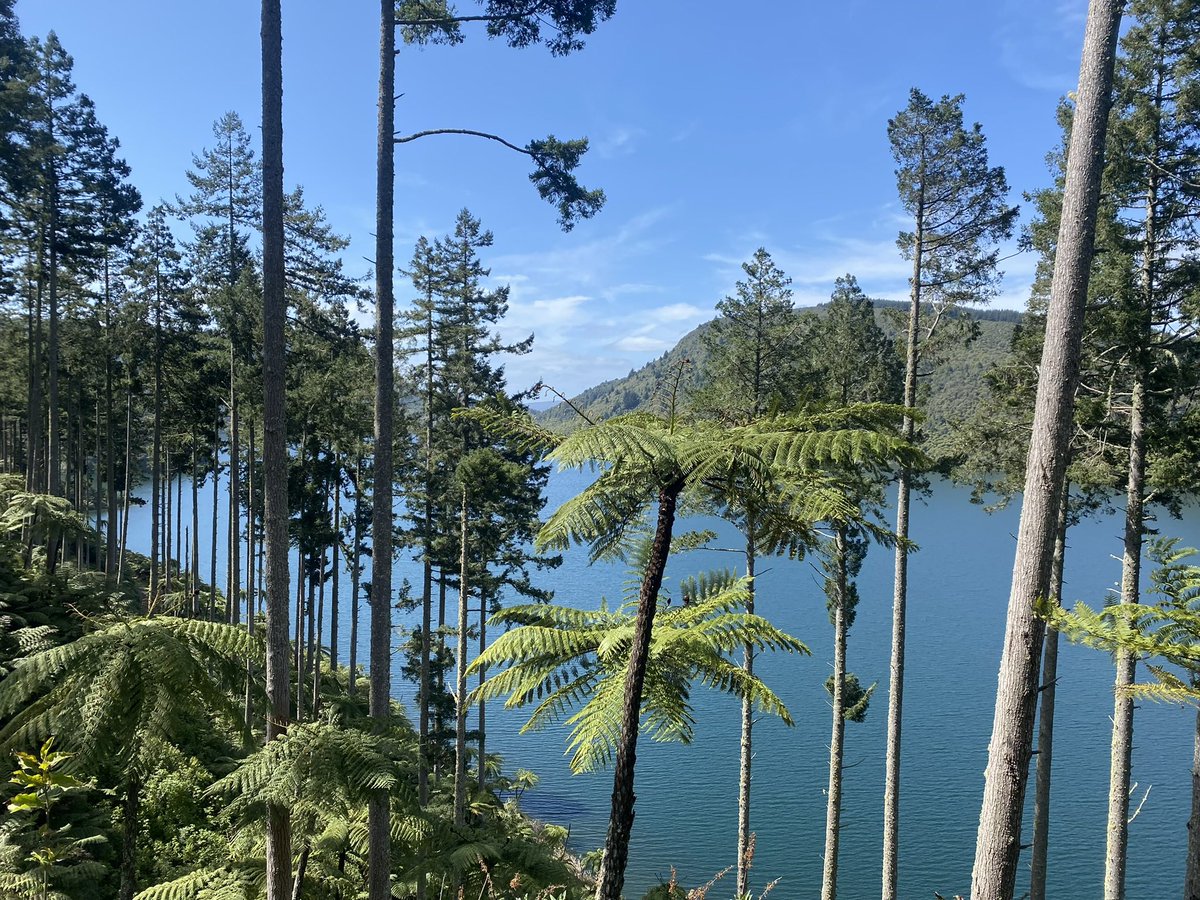 I’m asking those who love the outdoors to post a picture. A picture that YOU took. Just a picture. No description. The goal is to regain peace and harmony without negativity. Please copy the text, put a picture on YOUR page, and let's look at these beautiful pictures. Here's mine