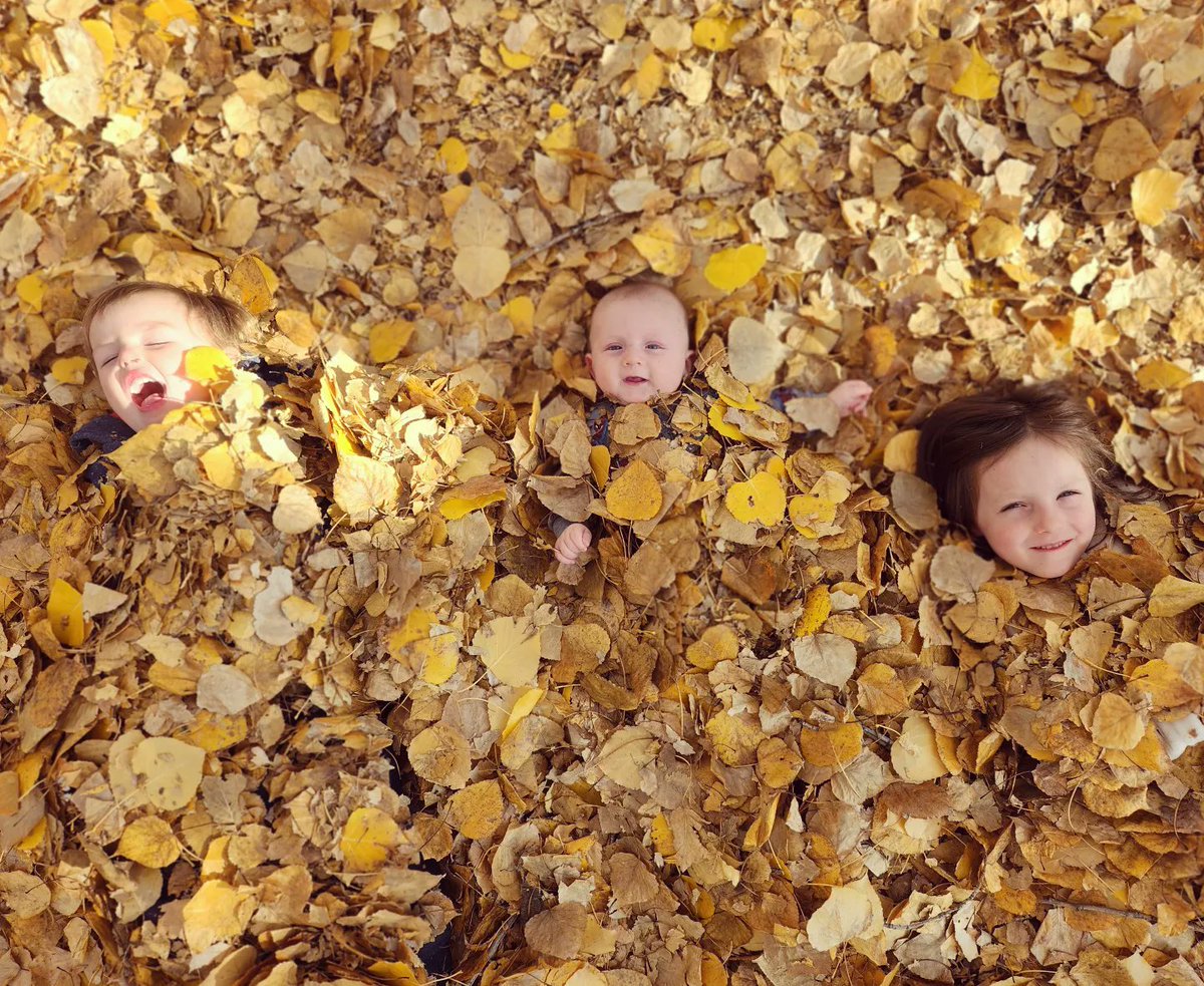 Smilin_Rylan's tweet photo. I found the kids!  #fallcolors🍁🍂 

#SmilinRylan #musicforkids #dadlife #siblings https://t.co/udH5Fy72JJ