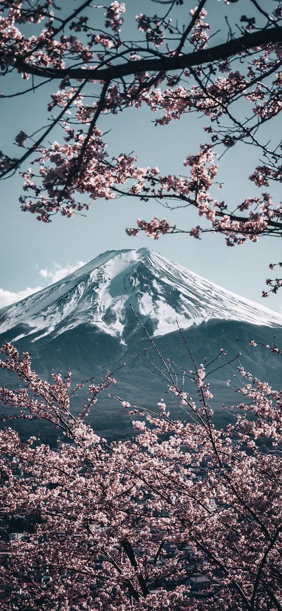 RayN0True's tweet photo. おはよう！！！
I'm Rayn and I'm looking for #studytwt / #langtwt moots (⁠｡⁠•̀⁠ᴗ⁠-⁠)⁠✧

> Native 🇲🇨
> Speak 🇲🇨🇺🇸
> He/Him
> 17, Aries
> Learn 🇯🇵🇰🇷 https://t.co/g1ezFiqp2Z