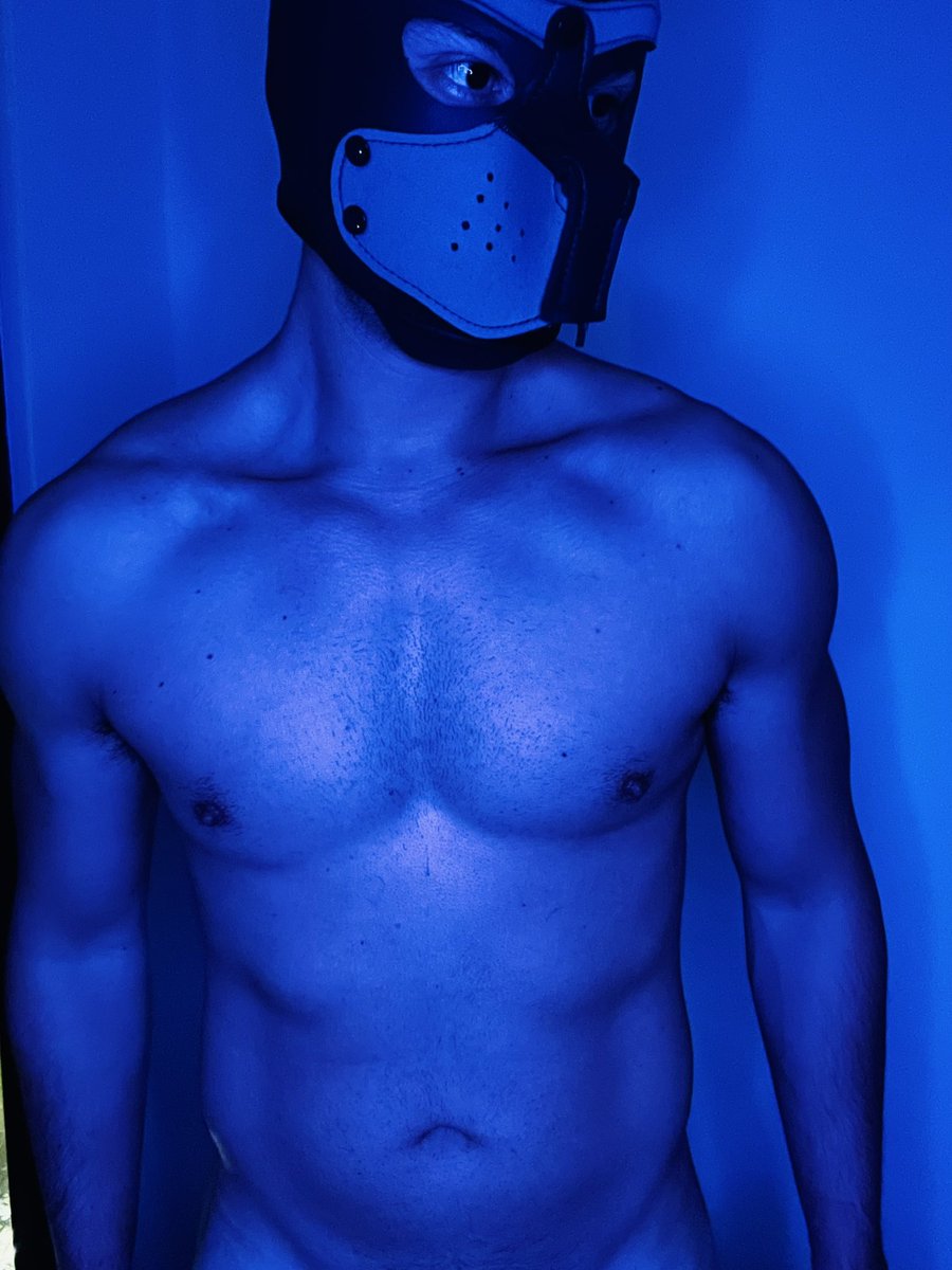 hxtdoggy's tweet photo. Saturday night be like! #gay #gayusa #gaymiami #gaymexico #gayporn #gaycolombia #gaybogota https://t.co/L22lJm9ulk
