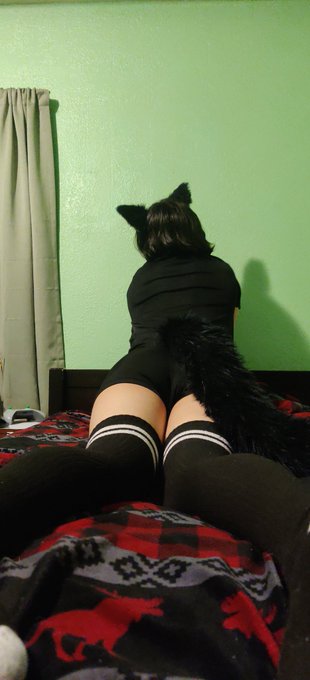 Happy late Caturday...
#femboy #seattle #gayseattle https://t.co/fY9wgvYW5O