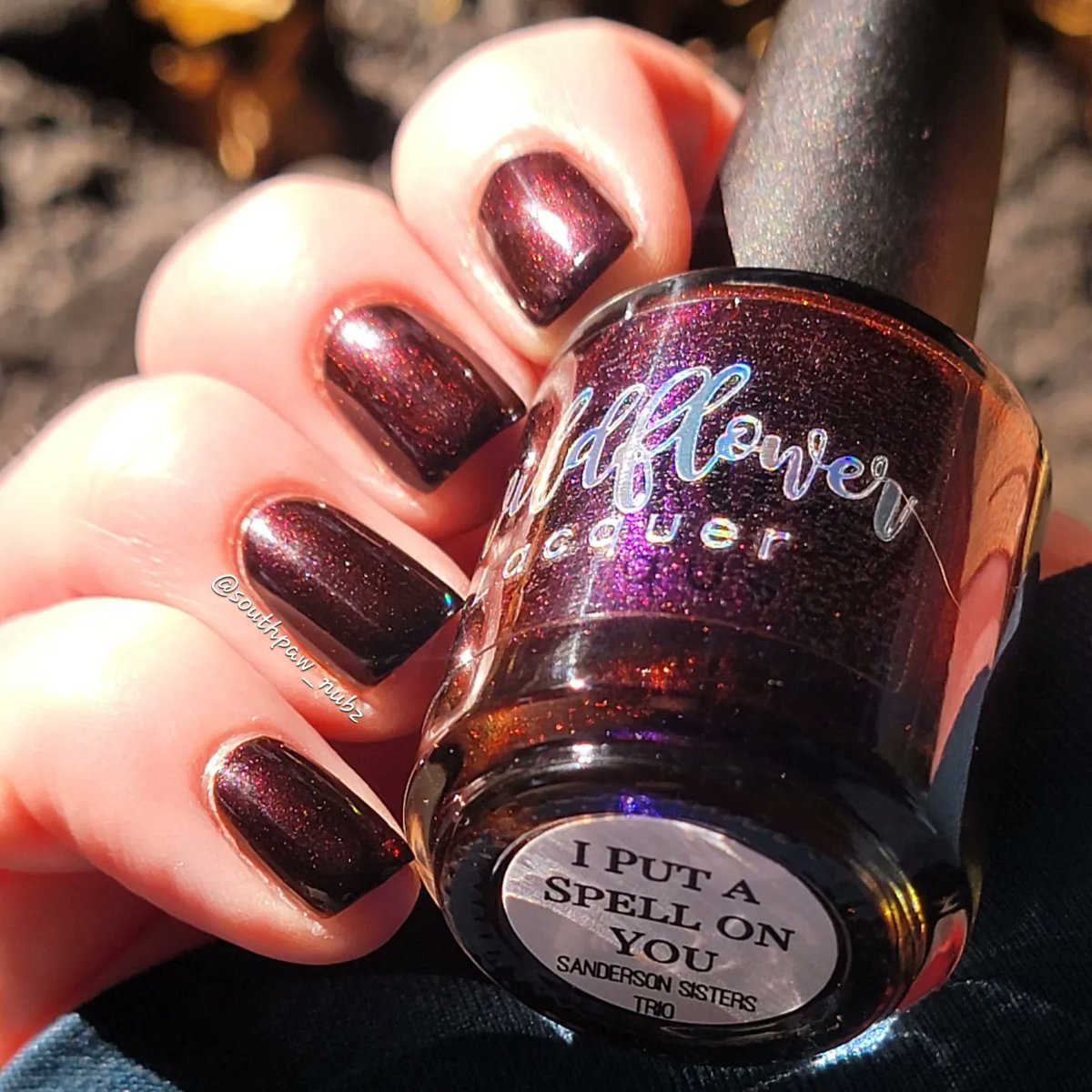 SouthPaw_Nubz's tweet photo. This color, in this lighting, on this day...👩🍳💋
@wildflowerlacquer | I Put A Spell On You | The Sanderson Sister Trio collection.
#wildflowerlacquer #wildflowerlacquersandersonsisterstrio #naturalnails #nailpolish #nailpolishcollection #nailpolishswatch #southpaw_nubz https://t.co/8nSUxLG9wY