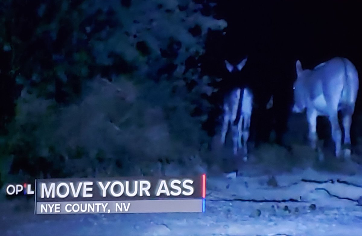thehicklife's tweet photo. Whoever titles these scenes should get a raise. 
#OPLive #OPNation https://t.co/4W9m99rahL