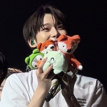 filmksw's tweet image. plushie fairy #sunoo