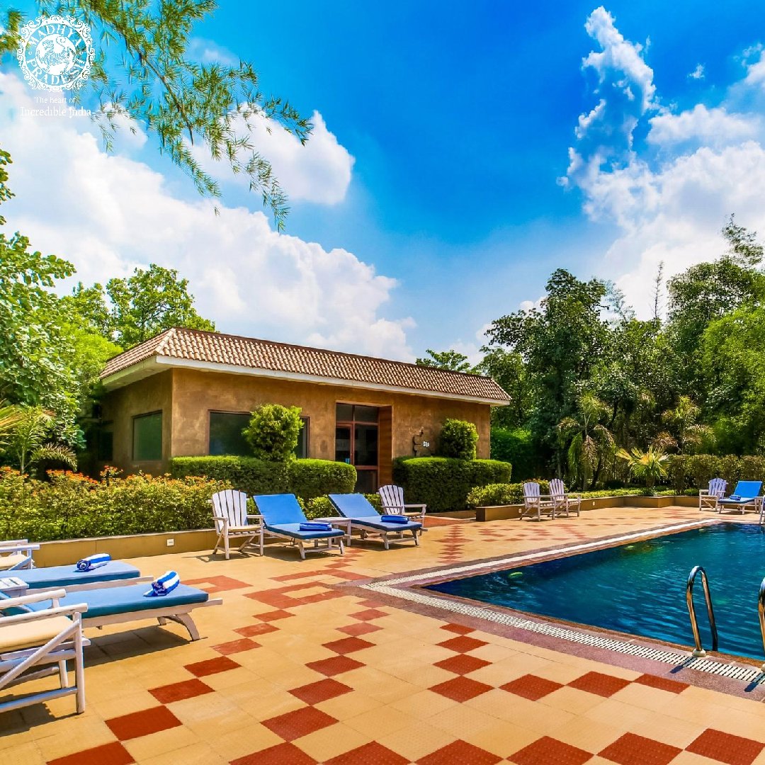MPTourism's tweet photo. Situated amidst the dense sal forests of #Bandhavgarh, Lemon Tree #Wildlife Resort is a nature retreat just a few yards away from the Tala #corezone.
Tag your squad with whom you would like to enjoy the rustic setting of this lavish property.
https://t.co/RVT2prycOL
#MPTourism https://t.co/QD5T256A5Q