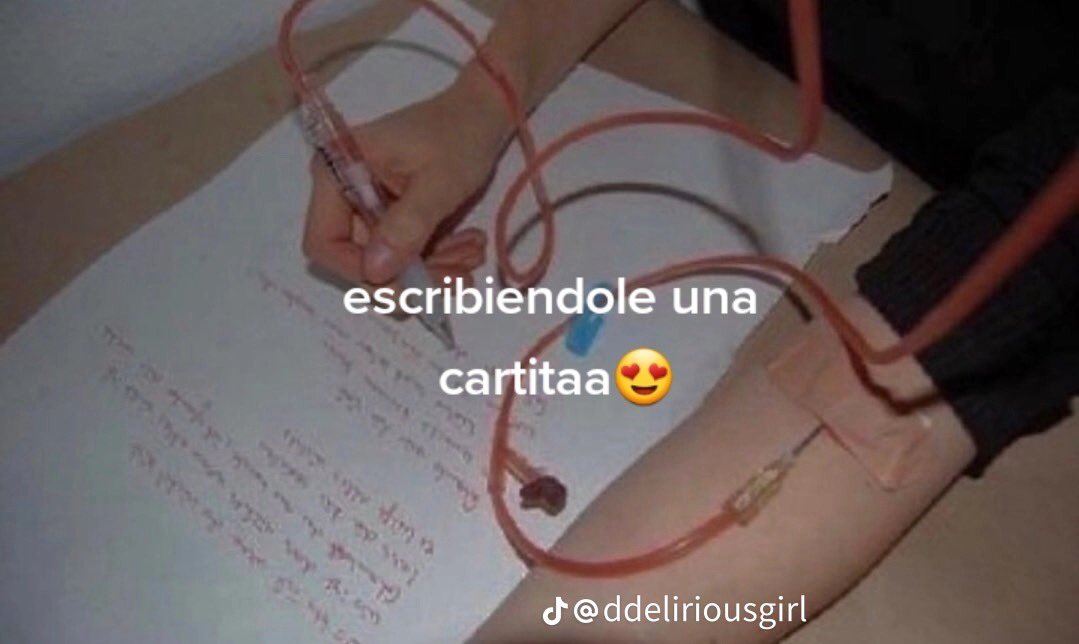 reich ণ ั ر (@pacidoll) on Twitter photo 