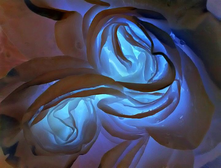 Featured Art of the Day: "Black and White Rose". Buy it at: ArtPal.com/JD1?i=128036-5