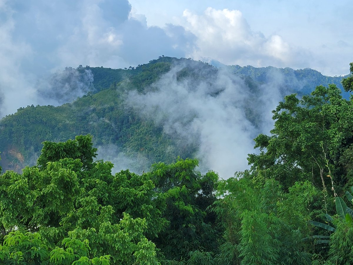 milon359's tweet photo. The gorgeous beauty of original nature https://t.co/MouS6kmEDP