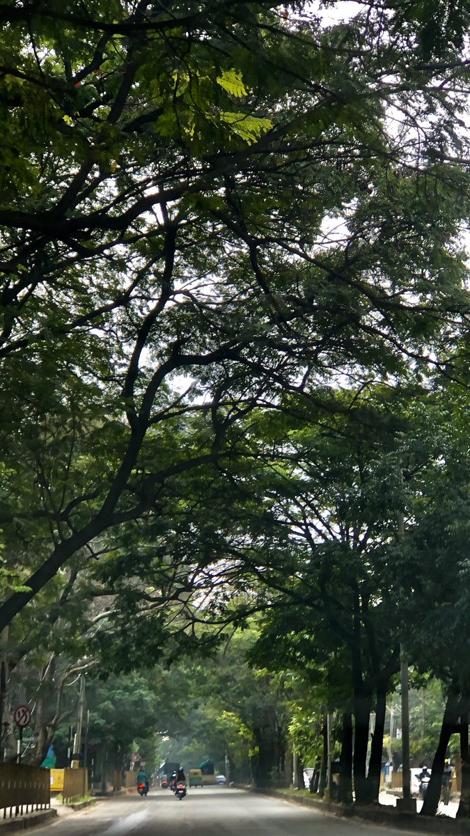 vrundavs's tweet photo. #nammabengaluru 
#bangaloreroads….on #octobermorning …💗💜
#vrupix https://t.co/E3njUNlzPq