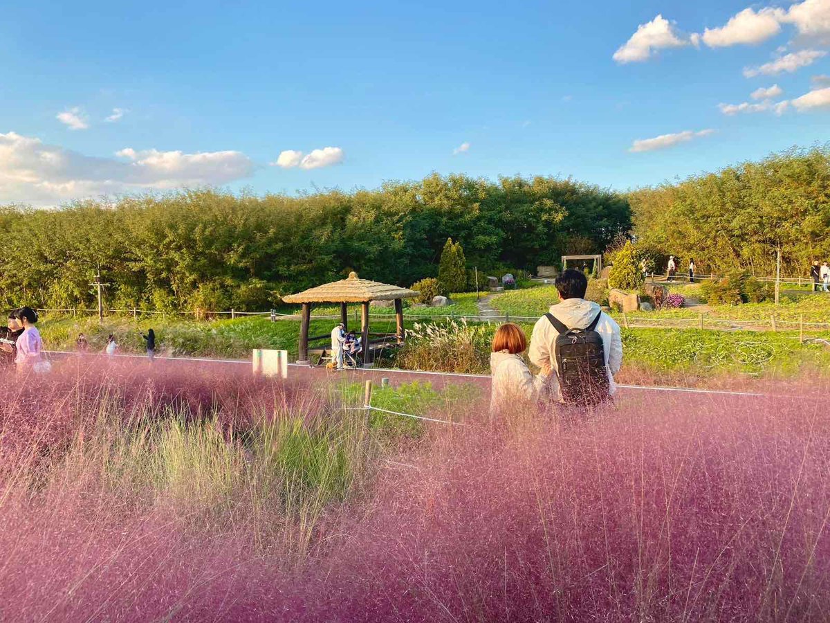 manila-bulletin-news-on-twitter-autumn-season-in-seoul-look-a