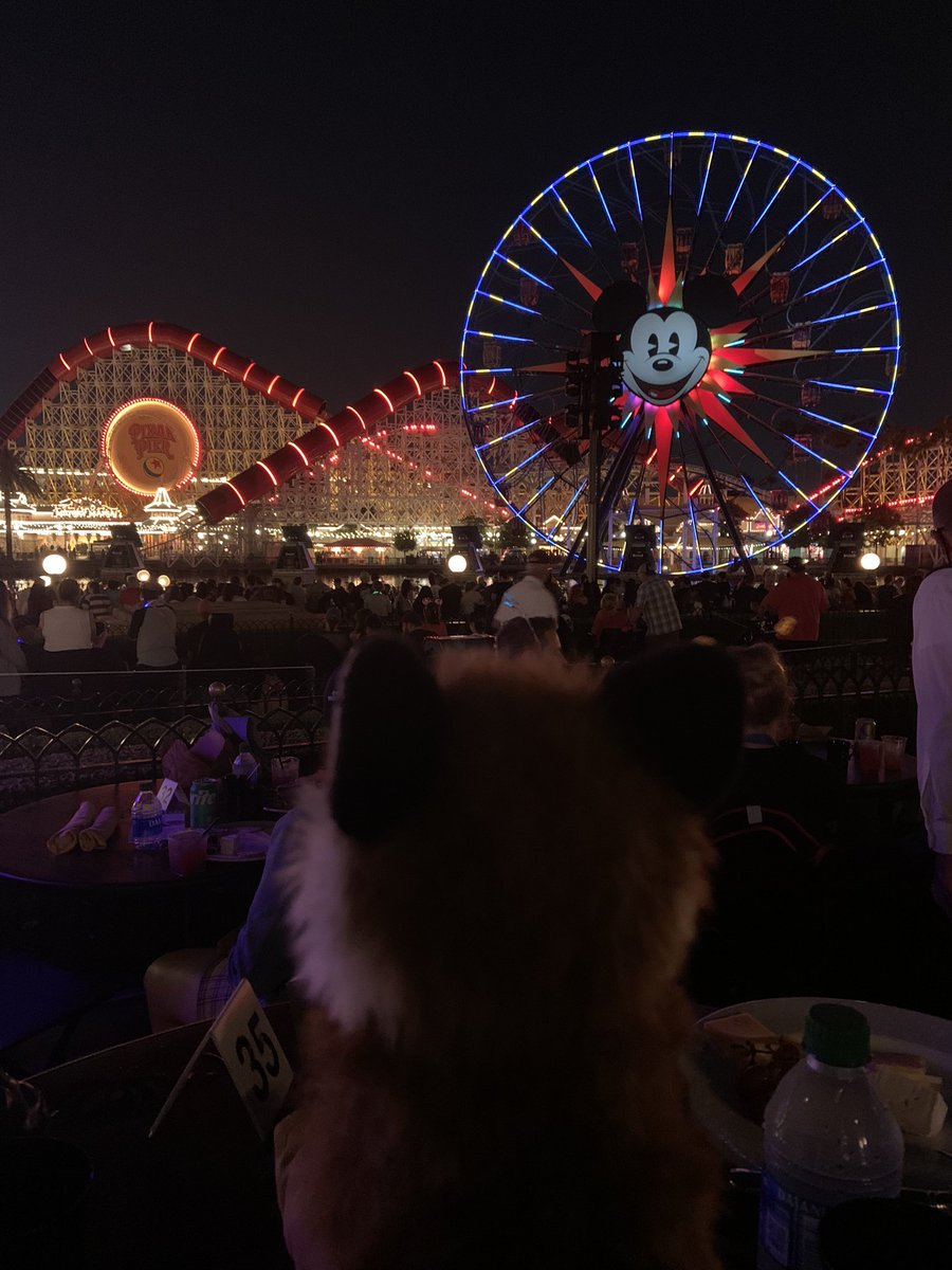 Wonder where Kit went for her holiday? #kitsamazingadventures