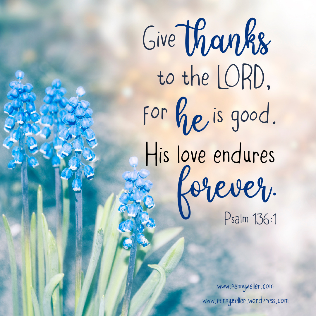 God s Gift For You On Twitter RT PennyZeller Give Thanks To The god-s-gift-for-you-on-twitter-rt-pennyzeller-give-thanks-to-the
