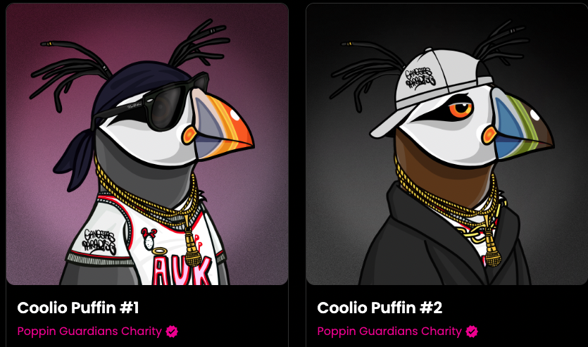 O' Guardian Puffins tweet media