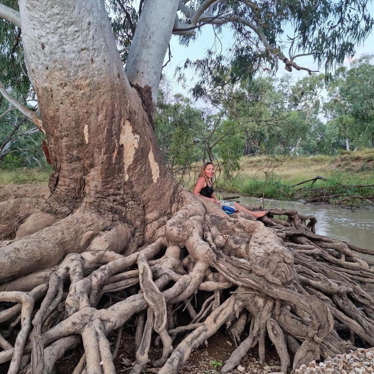 Bulldozers knocking down ancient trees on the riverbank at one of my favourite spots- it’s breaking my heart- hard to stay calm. #waddananggu <a href="/AdaniOnline/">Adani Group</a> making a new bridge. Is this all cool with you @AnnastaciaMP <a href="/QLDLabor/">Queensland Labor</a> <a href="/AlboMP/">Anthony Albanese</a> <a href="/tanya_plibersek/">Tanya Plibersek</a> <a href="/gautam_adani/">Gautam Adani</a> ?