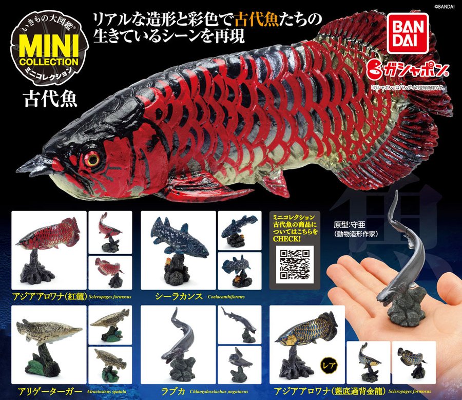 ガチャ22年10月発売 いきもの大図鑑ミニコレクション 古代魚 バンダイ あにガチャどっとこむ