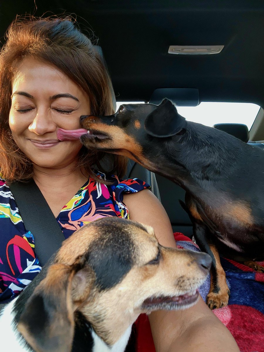 Devi_HQ's tweet photo. I love my babies.

#WeekendThings #IceCreamRun
#Juno #Razzie
#SPCA #Rescues https://t.co/BD7yu67aBP