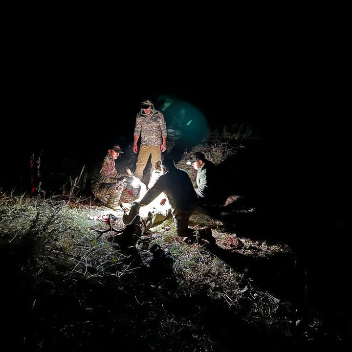 ralphandvicki's tweet photo. Cyclop’s lights the way to success🔦🦌…… #hunting #getoutofthedark #ralphandvicki #cyclopslights #teamoutdoors Cyclops Lights https://t.co/QoAA7kGONv