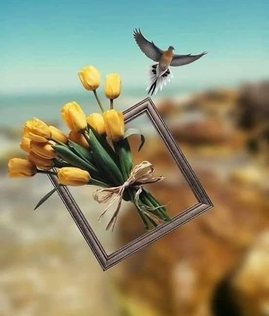 F6S10A1's tweet photo. .. 💌 

صافحو الناس بإبتسامتكم قبل يدكم، وتأكدو بأنكم سوف تجدو قلوبهم تصافحكم قبل أيديهم، فمن زرع طيب الأثر؛ حصد محبة الله ثم البشر.... 
           #صباح_الخـــــــير https://t.co/WVWZeEw76m