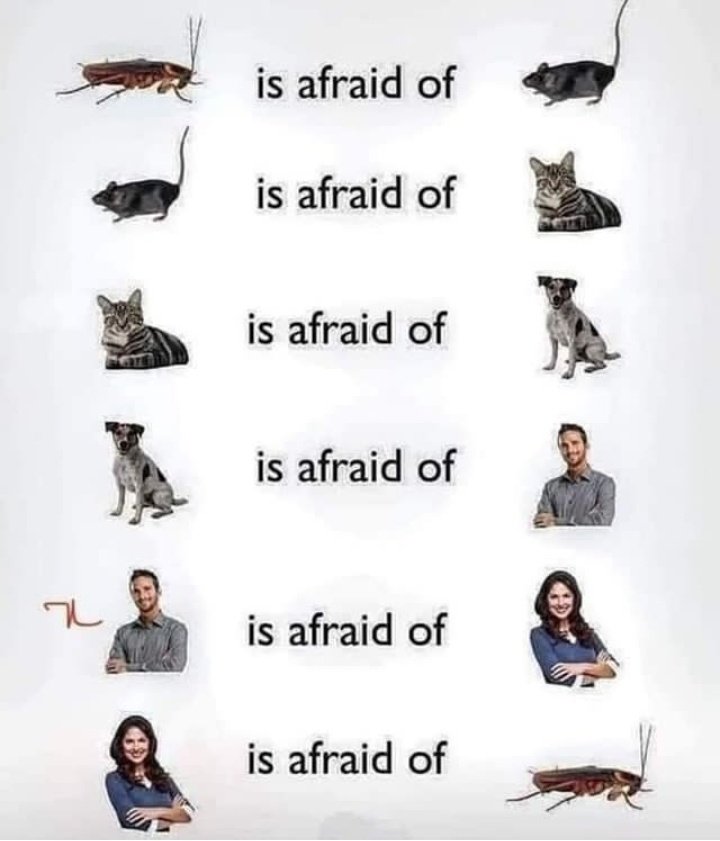 BlueSerenity161's tweet image. Circle of Life 😂
#FunTweets