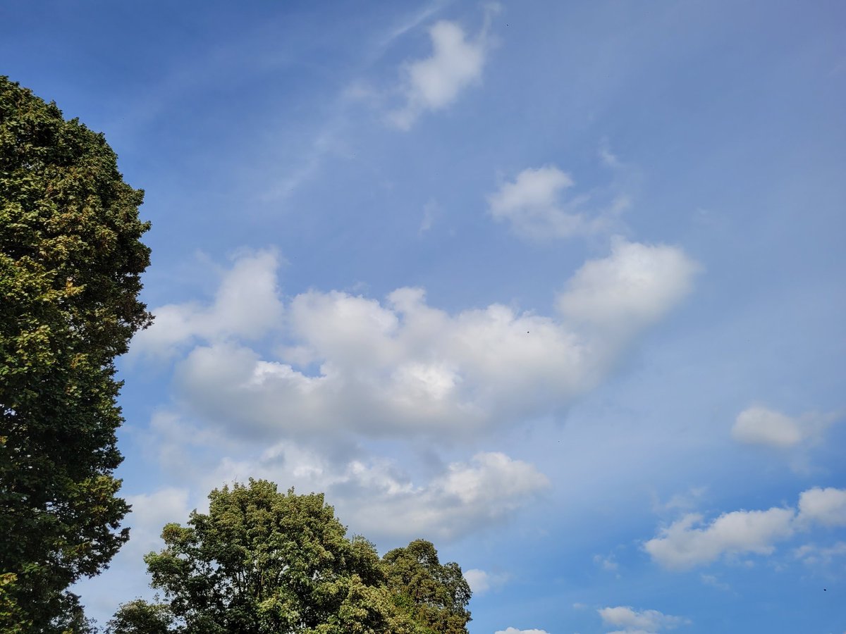 BekaertGregory's tweet photo. Gregory Bekaert Dadizele 8u56
#vrtweer #vtimenen https://t.co/U6QC1xCvQs