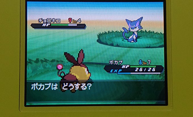 ポケットモンスター ブラック2