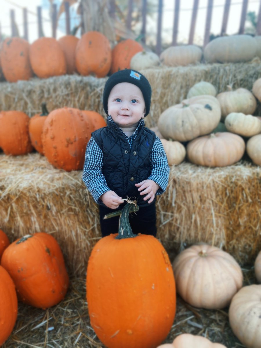 kdvanmatre's tweet photo. Pumpkin Patch Perfection.❤️🎃 https://t.co/TOlLgT3f00