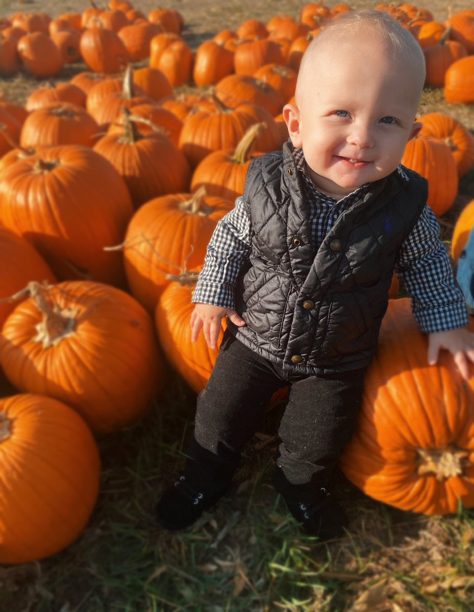 kdvanmatre's tweet photo. Pumpkin Patch Perfection.❤️🎃 https://t.co/TOlLgT3f00