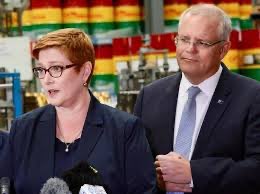 CaraMia200's tweet photo. @ShiannonC @johncar47255256 #Payne inserting herself into confected narrative, illustrative of how much silly theme is conservative driven!
PAYNE whose responsibility was to watch #China within our region, CHOSE to host #Liberal fundraiser, RATHER than get her arse to #SolomonIsles.
THAT’s PAYNE ! #auspol https://t.co/PUHuieYR8a