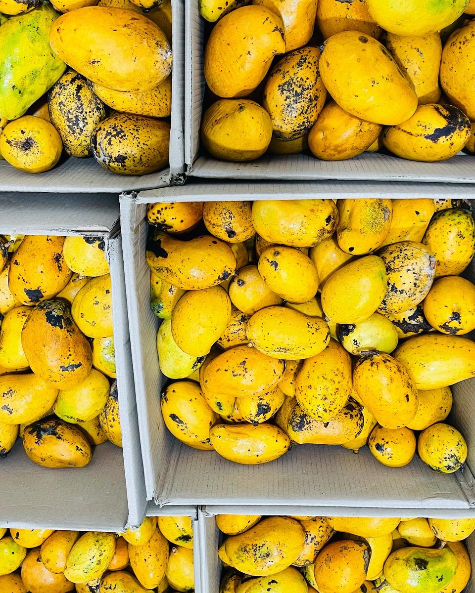 fams_group's tweet photo. We are wholesaling fruits &amp; Vegetables, for more information please contact 9100004 #Maldives https://t.co/vyhgR3JfXU