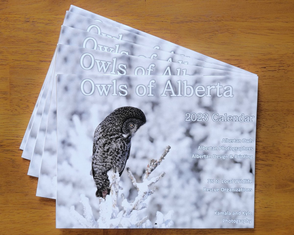 KamalaKyle's tweet photo. Our calendars included cool owl facts, a bit about their typical habitats and behaviors and conservation information for each owl!
https://t.co/GWbuJlSYVP
#albertaowls #canadaowls #canadianowls #albertacalendar #canadacalendar #owlsofcanada #canada #alberta https://t.co/eDWXC4CT2M